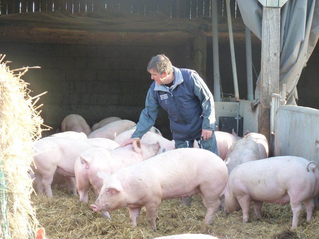 La Ferme Chauvet Bed and Breakfast Chantenay-Villedieu Εξωτερικό φωτογραφία